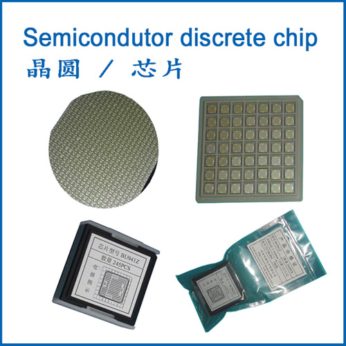 semiconductor wafer/chip